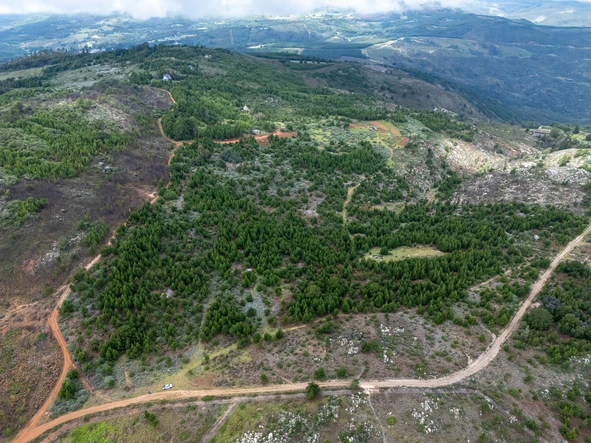 Commercial & Industrial Land