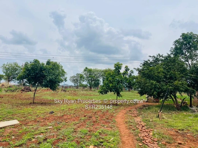 Westgate Adylinn Stand For Sale