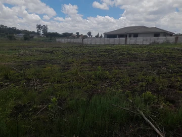 Stands & Residential Land