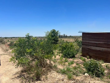 Stands & Residential Land