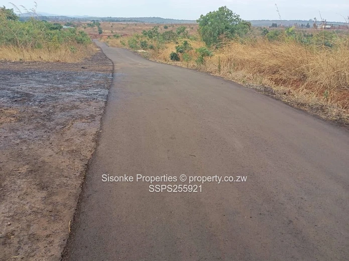 Exclusive Large Residential Stands For Sale – Pomona, Buckland Terraces