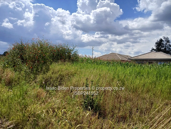 Massive Industrial Stand off Mutate Road