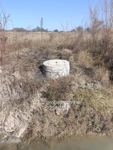 Waterfalls Prospect Stands for sale !!