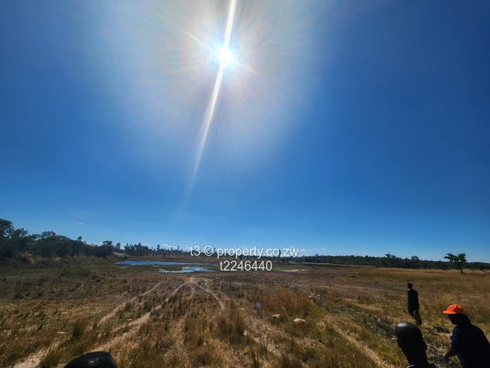  Darwendale Farm - 400 hectares 