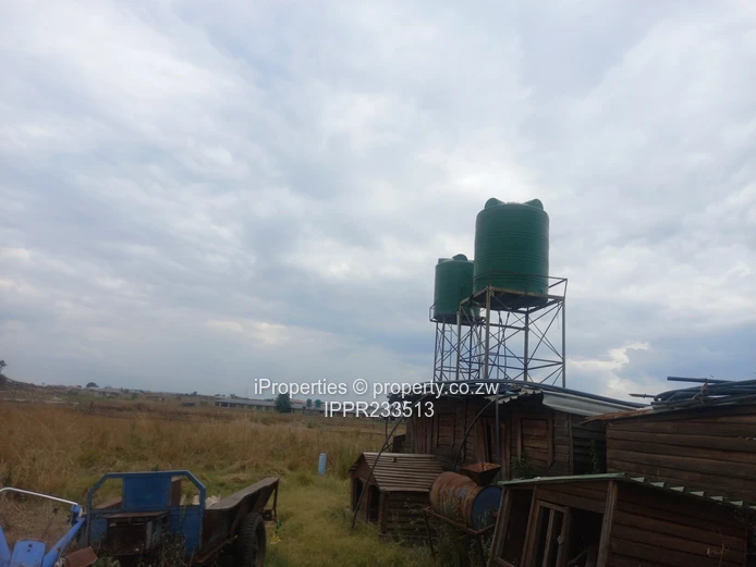 A 2.6Ha plot in Rainham is available for sale at $130000