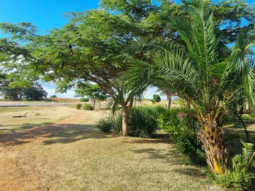 Farm & Agricultural Land