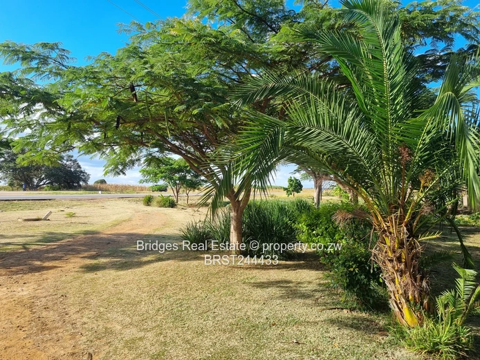 Fully Operational Peri Urban Agro Residential Plot (Sole Mandate)