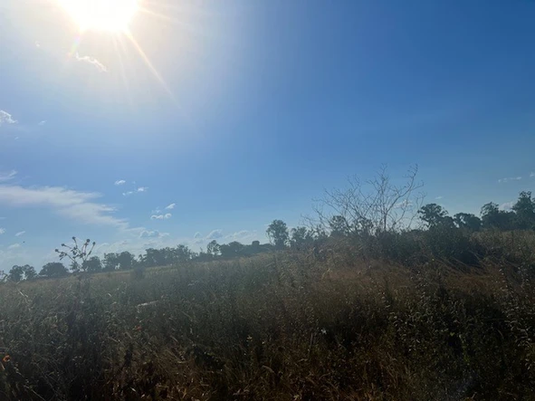 Commercial & Industrial Land