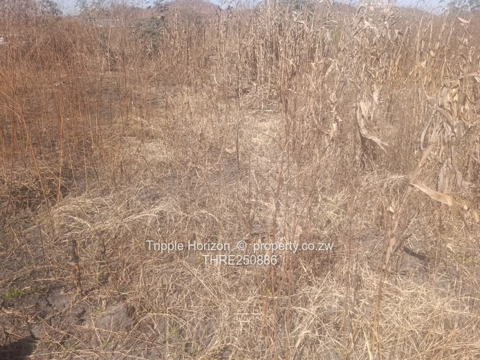 200 m² Stand in Warren Park — Water, Sewer, Gravel Road