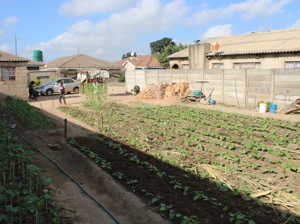 Stands & Residential Land