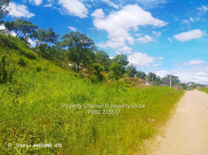 Sloping 4000m² Carrick Creagh — Subdividable, Tarred Road