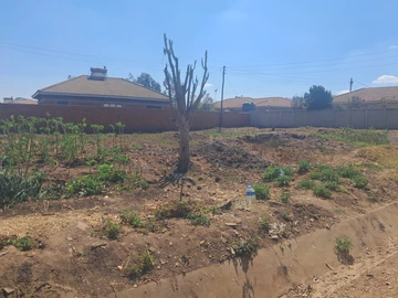 Stands & Residential Land