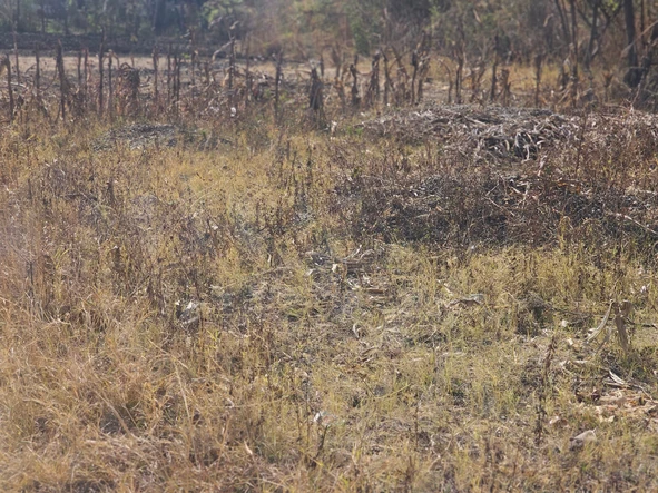 Commercial & Industrial Land
