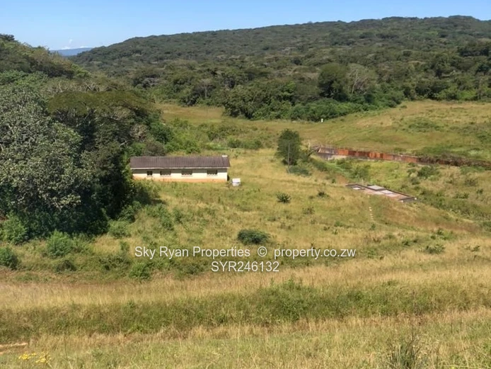 Bangazani Estate, Chipinge