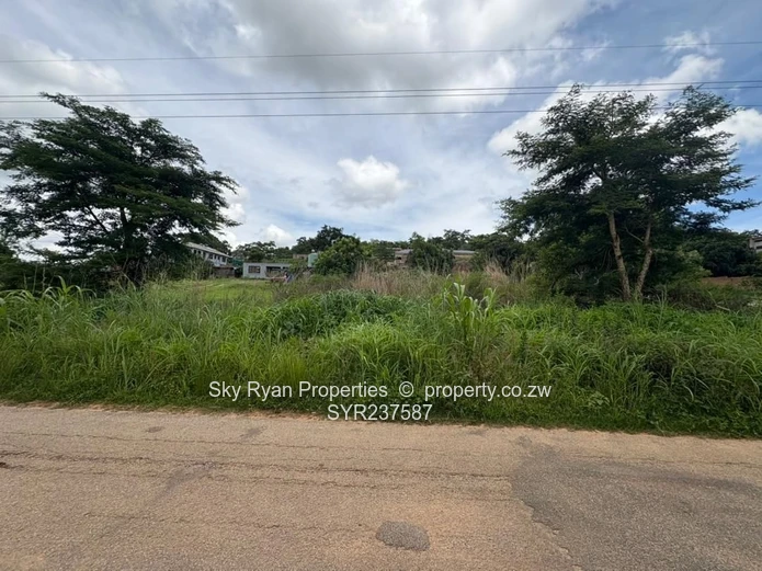 Stand for Sale – Carrick Creagh, Borrowdaleki