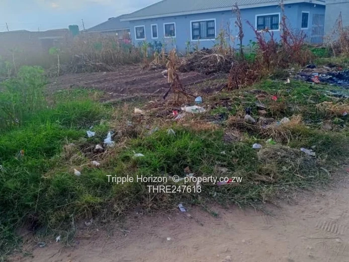 200m² Stand - Main Road Frontage, Sewer & Water, Damofalls