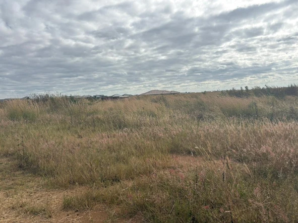 Land