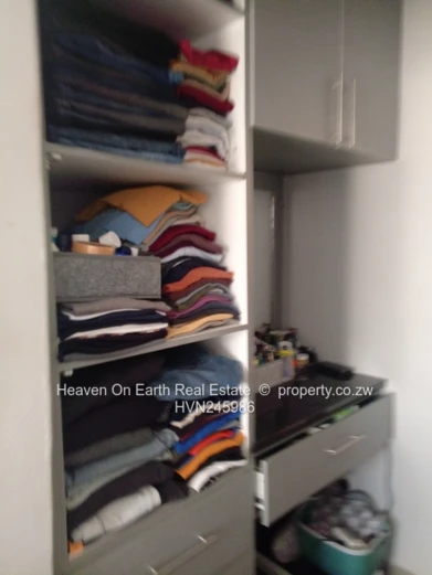 Elegant Home in Springvale with Modernist design 