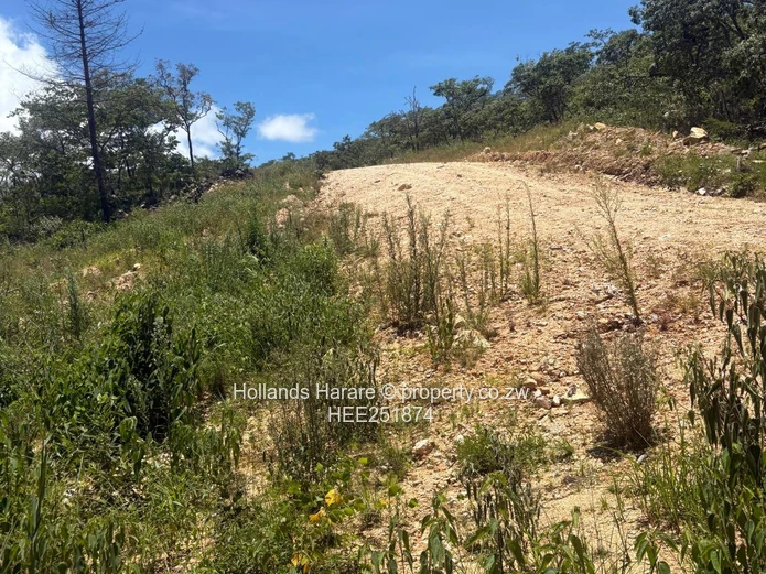 Rodel Township - Nyanga