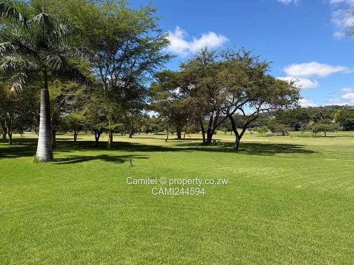 Borrowdale Brooke inside the boom 4-Bed Home with Pool, Covered Patio & Borehole (Sole Mandate)