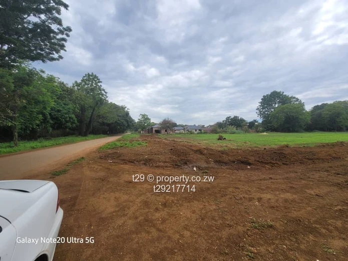 Marlborough Adylinn stands for sale