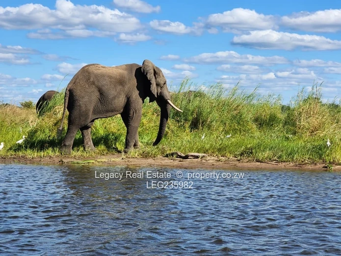 A Once-in-a-Generation Zambezi Riverfront Opportunity,Two Private Islands & a Prime Mainland Estate 