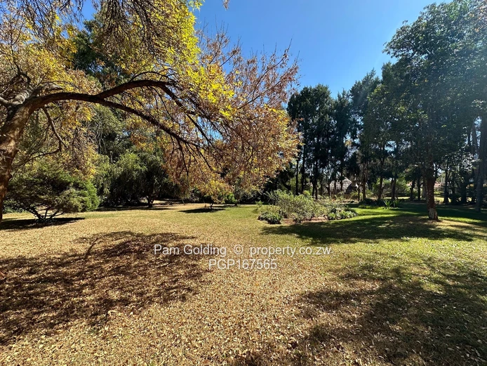 4 Bedroom House - Greystone Park 