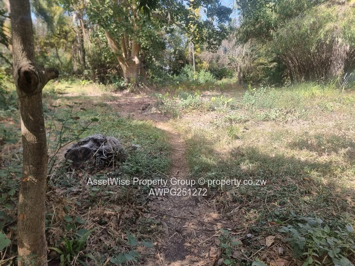 2100m² Tree-lined Commercial Plot in Avondale — Services