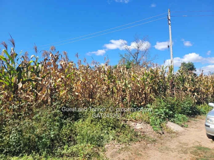 Stand For Sale  In Crowhill