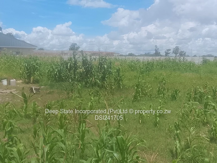 Avonlea Stand for sale 