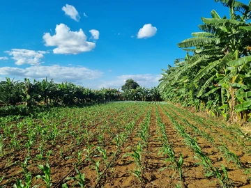 Farm & Agricultural Land