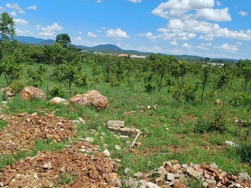 Commercial & Industrial Land