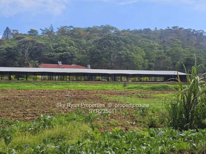 Umwinsidale Property For Sale