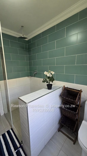 Investment Opportunity 