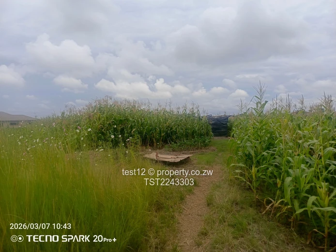 Westgate Sandton park stand for sale  (Sole Mandate)