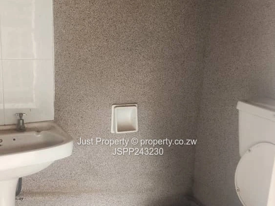 Renovator’s Delight 