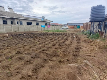 Stands & Residential Land