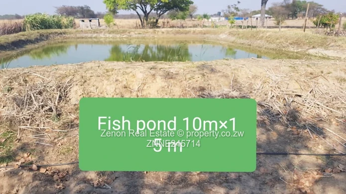 Beatrice 18ha Plot For Sale 150k.3km from Masvingo main road (Sole Mandate)