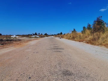 Stands & Residential Land