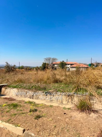 Palm village stands for sale !!!!