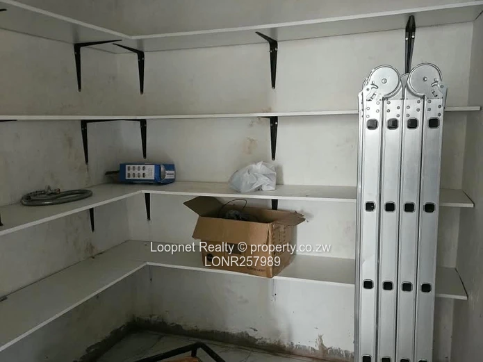 Spacious 3BR Garden Flat Greendale – Open-plan Kitchen & Borehole