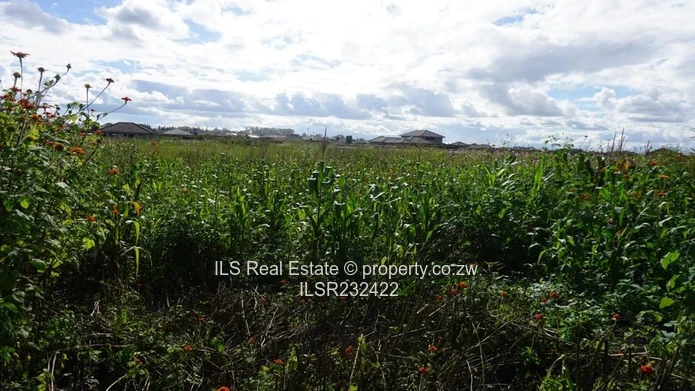 Residential Stand For Sale In Sandton Park (Sole Mandate)