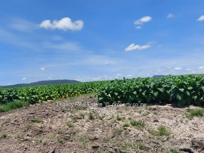 Prime Land Holding Opportunity,Goromonzi Agricultural Plots for Sale
