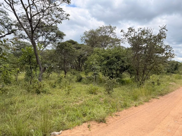 Farm & Agricultural Land