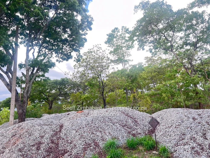 Prime land in Folyjon Crescent. Perfect location (Sole Mandate)