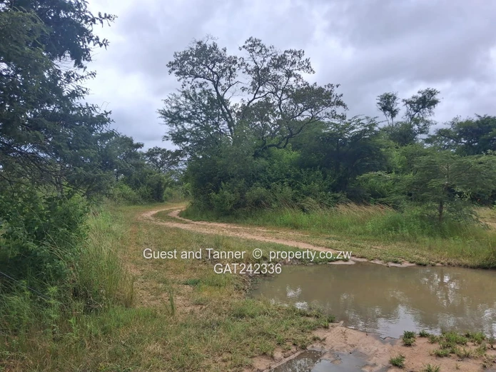 60-hectare Plot For Sale In Beatrice
