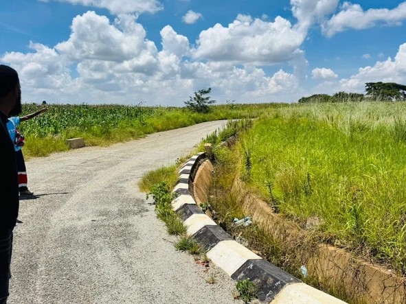 Stands & Residential Land