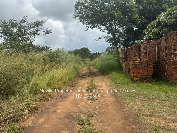 Crowhill views Ruyamuro