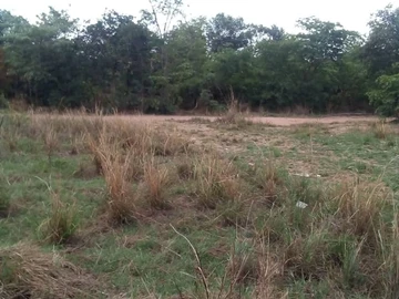 Farm & Agricultural Land