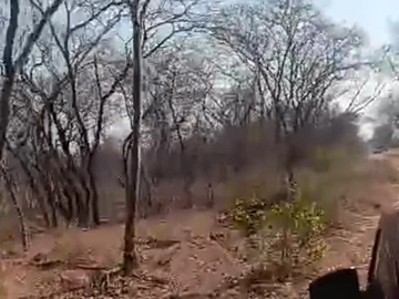 Farm & Agricultural Land